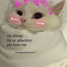 Pin By Adria Palos Mas On O O V E Y O U Wholesome Memes Cute Messages Love Memes
