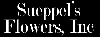Maybe you would like to learn more about one of these? Iowa City Florist Flower Delivery By Sueppel S Flowers Inc