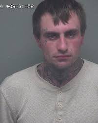 On January 27, 2024, Deputy Sheriffs of the Patrol Division at the Wakulla  County Sheriff's Office arrested Logan Harrell, 27 years of age, for  Possession of a Schedule II Controlled Substance with