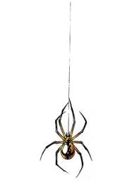 Dreams about falling from great heights are very common. 46 Black Widow Tattoo Ideas Black Widow Tattoo Spider Tattoo Tattoos