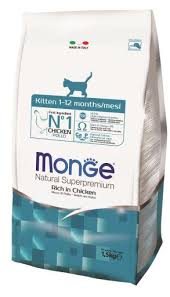 Monge Ns Cat Kitten
