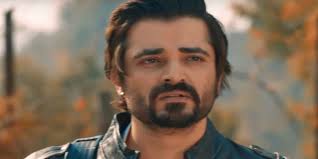 Hamza Ali Abbasi to write book, will be inactive