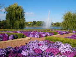 Sep 03, 2020 · to make flower food, start by filling a container with a quart of warm water. The Most Beautiful Botanical Gardens In The U S Conde Nast Traveler