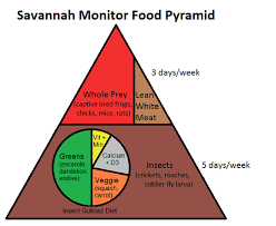 Savannah Monitor Food Pyramid Complete Critter