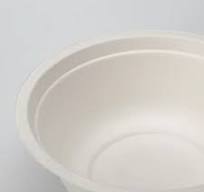 GeoTegrity - Disposable Biodegradable Sugarcane Bagasse Pulp ...