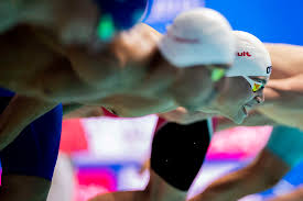 Live challengefamily next live coverage: Freiwasser Und Becken Europameisterschaften In Budapest Im Livestream Swim De