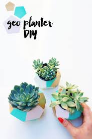 How to create the third cactus icon. 40 Cubicle Decor Ideas To Make Your Office Style Work As Hard As You Do