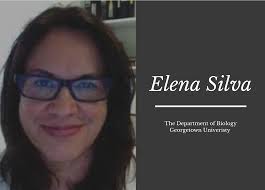 Dr. Elena Silva receives a Research Enhancement Award from the NIH for her  research
