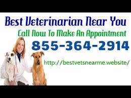 All specialties anesthesia & pain management avian and exotics cardiology critical care dentistry and oral surgery dermatology emergency medicine integrative medicine internal medicine interventional radiology medical oncology neurology & neurosurgery ophthalmology. Vet Emergency Near Me