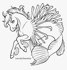Download Lionfish Coloring Page Coloring Page Lion Fish Hd Png Download Transparent Png Image Pngitem