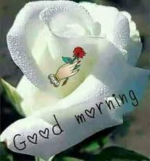 Love You Punam In 2020 Good Morning Love Good Morning Love Gif Good Morning Quotes