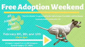 Visit petsmart's everyday dog or cat adoption centers or, at select locations, adopt a variety of small pets or reptiles. Cityofbptct On Twitter Free Adoption Weekend At Bridgeport Animal Control Adopt Adoptdontshop Rescue