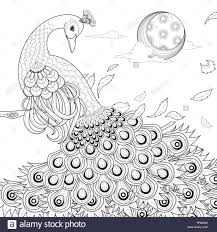 Easy beautiful peacock coloring pages. Peacock Coloring Pages Peacock Drawing Easy And Beautiful Tramadol Colors