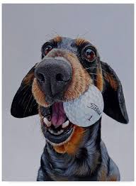Online design & preview canvas. James Ruby Titleist 1 Canvas Art 18 X 24 Dog Portraits Dog Paintings Puppy Art