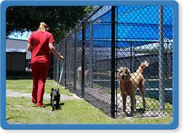 Our staff sincerely cares about you and your pets and will do everything we can for your pet's safety, this suite has a tempered sliding glass door which provides better visibility and a. Jacksonville Pet Boarding Services Dog Cat Grooming Jacksonville Fl