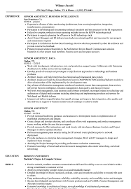 senior architect resume samples