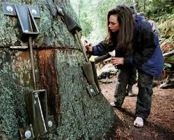 We live in a world that is full of problems, and we are the solutions to those problems. Julia Butterfly Hill