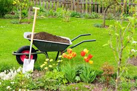 Die muster bietet ihnen ein paar standardmethode für. Was Darf Man Als Mieter Im Garten Machen Und Was Nicht