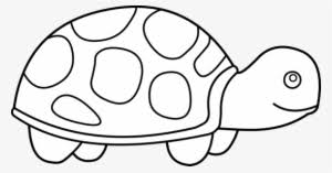 28 Collection Of Tortoise Clipart Outline Turtle Clipart Black And White Png Image Transparent Png Free Download On Seekpng Stroke surfing a sea turtle outline sea turtle vector icon. 28 collection of tortoise clipart