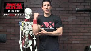Elbow Pain With Tricep Exercises Snap Or Pop Youtube