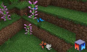 0, project qt mod apk platinmods, project qt mod apk 10. Mcpe Bedrock Butterflies Add On Minecraft Addons Mcbedrock Forum