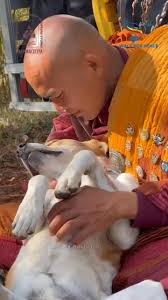 Casey Maysonet Kearns (@CaseyMKearns) • Facebook