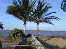 Beach Of Galibi Suriname Ver Weg Kijken