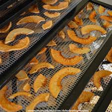 An indisputable list of the best apple varietals we could get our hands on. Dehydrating Apples For Easy Homemade Apple Chips