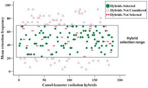 Human diploid cells (those that are not gametes) characteristically exhibit 46 chromosomes, but this number can be as low as 2, as is the case for some ants and roundworms, or more than a thousand. Construction Of Two Whole Genome Radiation Hybrid Panels For Dromedary Camelus Dromedarius 5000 Rad And 15000 Rad Scientific Reports