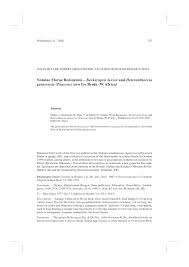 Image result for Heteranthoecia  guineensis