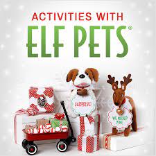 Exciting Activities You Can Do With Your Elf Pets The Elf On The Shelf Elf Pets Elf On The Shelf Pet Ideas The Elf