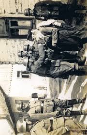 Borowicz -- Perwersje holocaustowe.indb