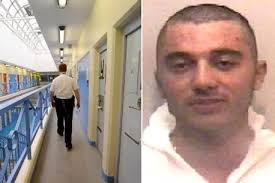 Where The Paddingtons are now from Post Malone fandom to building sites