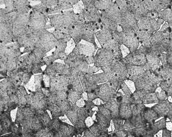 Image result for bulat steel micrograph
