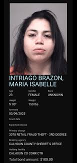 MARIA ISABELLE INTRIAGO BRAZON CHARGES 3078 RETAIL FRAUD THEFT
