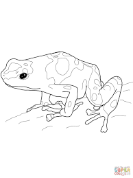 The amazing thing about frogs is they were all fish, at one. Yellow Banded Poison Dart Frog Coloring Page Free Printable Coloring Home