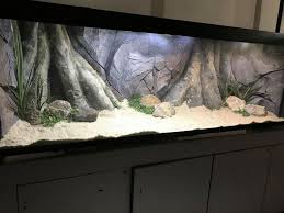 3d Aquarium Background Model E In A Aquarium Aquarium Backgrounds Aquarium Landscape Aquarium