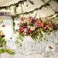 Open Night at Figbird Cottage event in Terara NSW