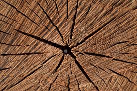 Also, the type of super glue to use to create the filler is the liquid type and not the gel type. 10 Best Wood Fillers For Decks Reviews Buyer S Guide Woodcritique