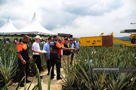 * tambahkan makmuman (mengikut imam), jika sembahyang berjemaah. Sultan Johor Dan Permaisuri Johor Melawat Ladang Nanas Melita Premium Fresh Pineapple Satu Johor