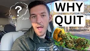 Kasey Yates "You have to have Something kind of wrong with you, to want to  get beat up Everyday"