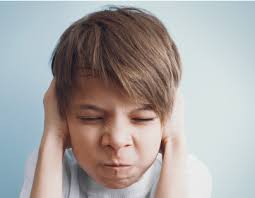 Dificuldades no manejo de alunos com transtorno opositor desafiador na  prática escolar: um desafio