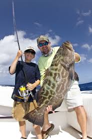 Black Grouper Fishing In The Florida Keys Grouper Fish Fish Grouper