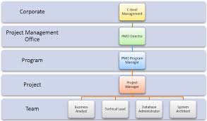 key steps every company should know when launching a pmo