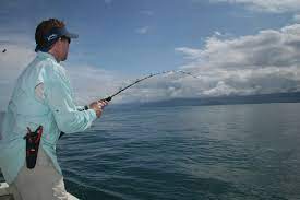 Meski begitu, ikan nila merupakan jenis yang akan memberikan peluang usaha dengan income tinggi. Cara Menemukan Spot Menguntungkan Untuk Para Mancing Mania
