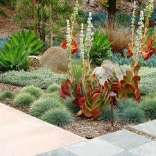 Cactus Garden Ideas Design Pictures Remodel Decor And Ideas Drought Tolerant Landscape Garden Design Pictures Xeriscape