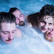 Sleeping in the Aviary hometown, lineup, biography