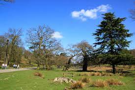 Bradgate Park Charnwood Acres Park