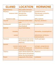 Endocrine Chart