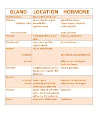 endocrine chart